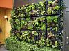     
: Edible-Wall-Garden-by-Tournesol-Siteworks.jpg
: 1171
:	99.3 
ID:	19315